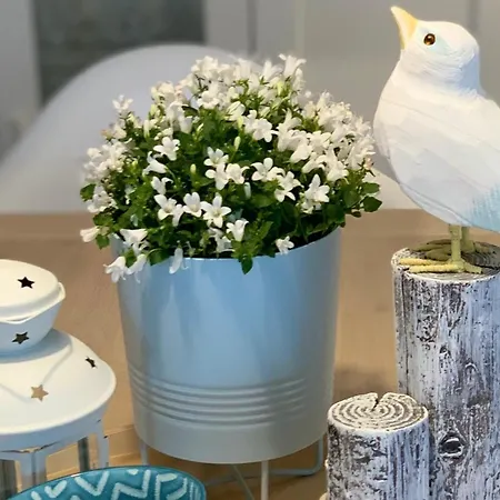 Huus Achterdiek - Whg Oberdeck Διαμέρισμα *